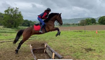 Ecole d'équitation à Forcalquier