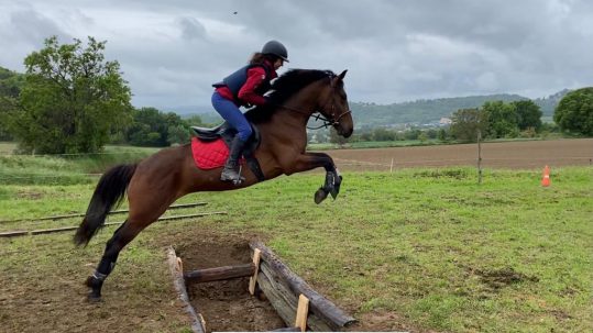 Ecole d'équitation à Forcalquier