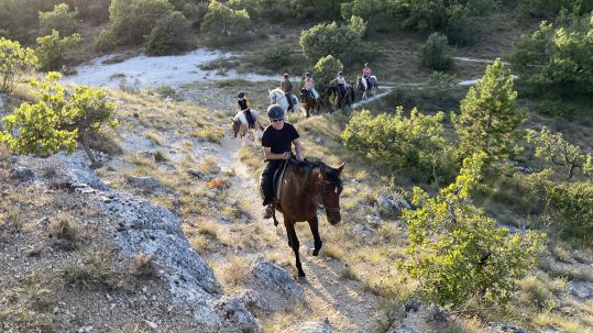 Balades à cheval à Forcalquier