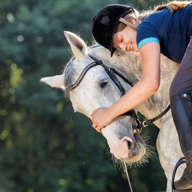 concours-equestre