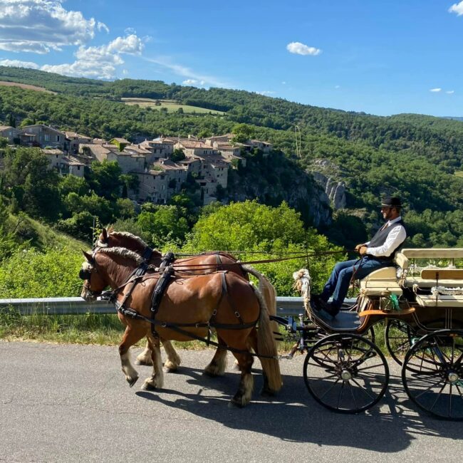 mariage-en-caleche-provence