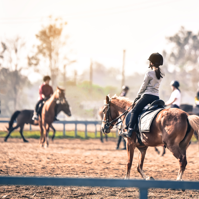 stage-equitation