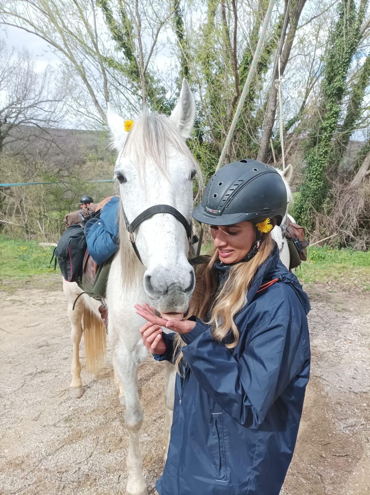 Centre Equestre les Crins Gaia